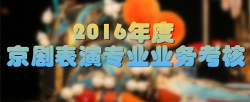 www,jidu操逼国家京剧院2016年度京剧表演专业业务考...